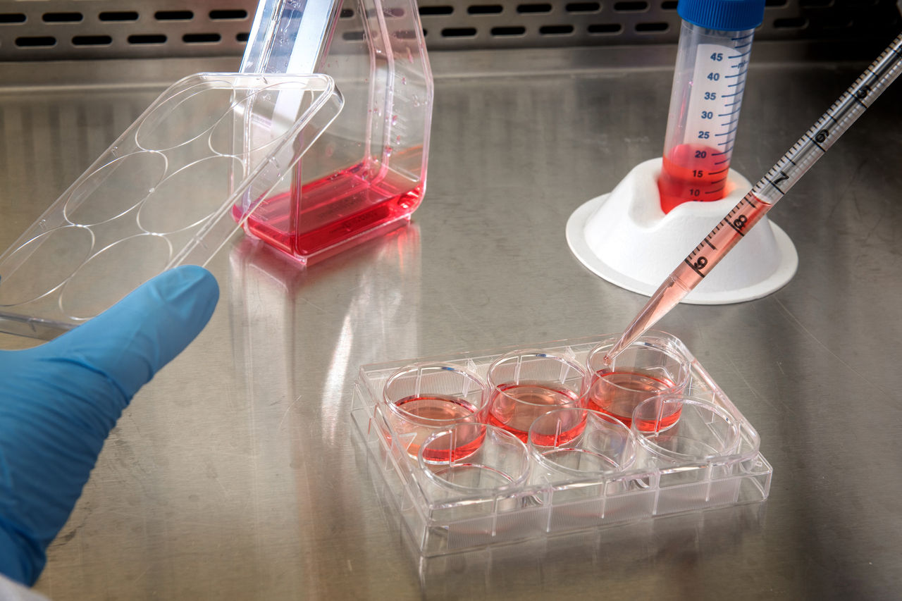 Collaborative Research and Quality Control Supports Cell & Gene Therapy Development & Manufacturing